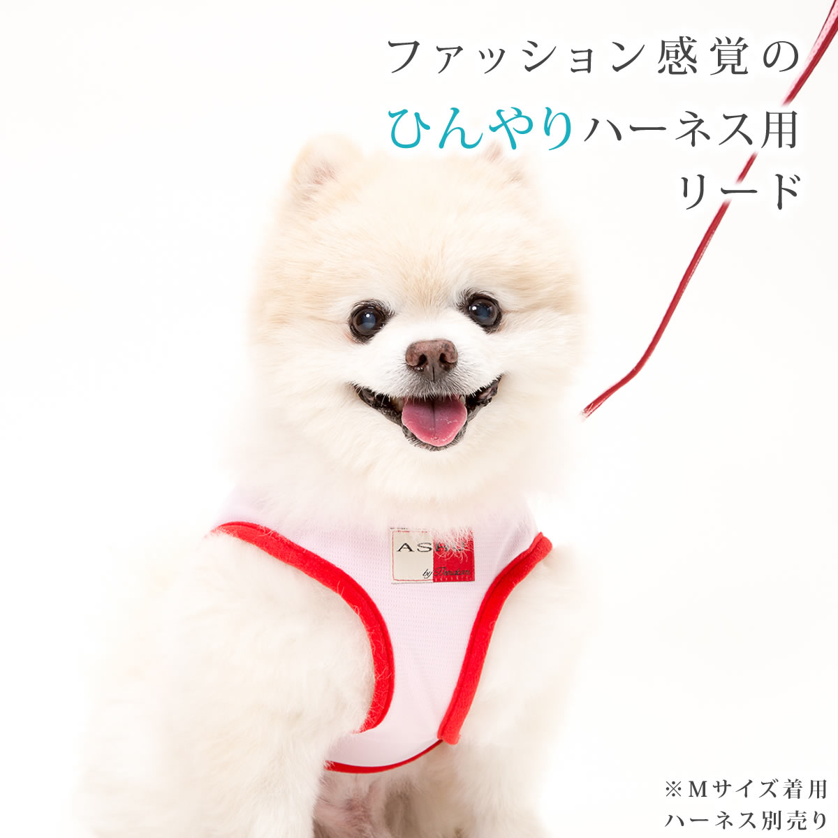 中型犬用リード ASHU クーリングウェアハーネス用リード Mサイズ 犬用ハーネス アッシュ 服の上から - angle 1