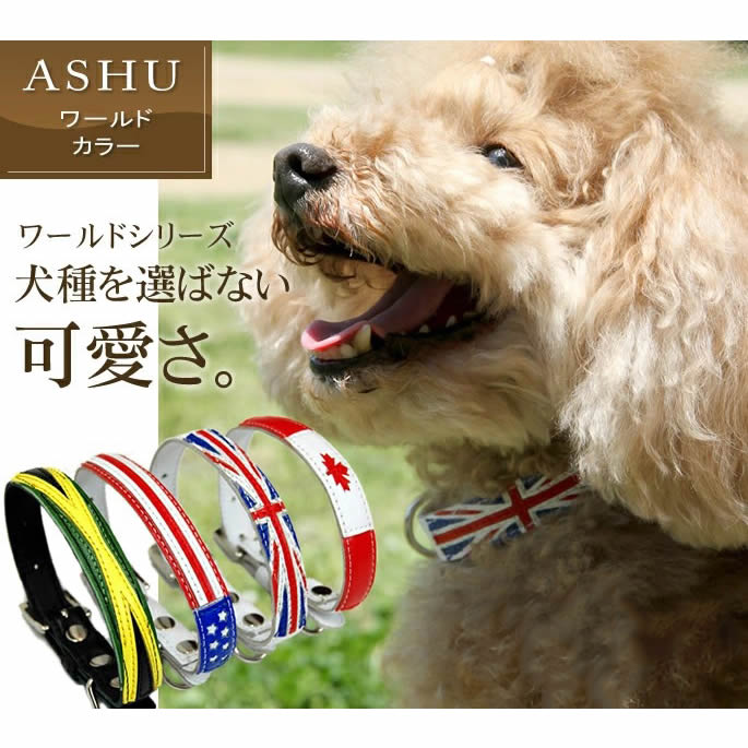 愛犬 首輪 ASHU ワールド カラー（首輪） Mサイズ 【リードは別売り】 【小型犬サ...