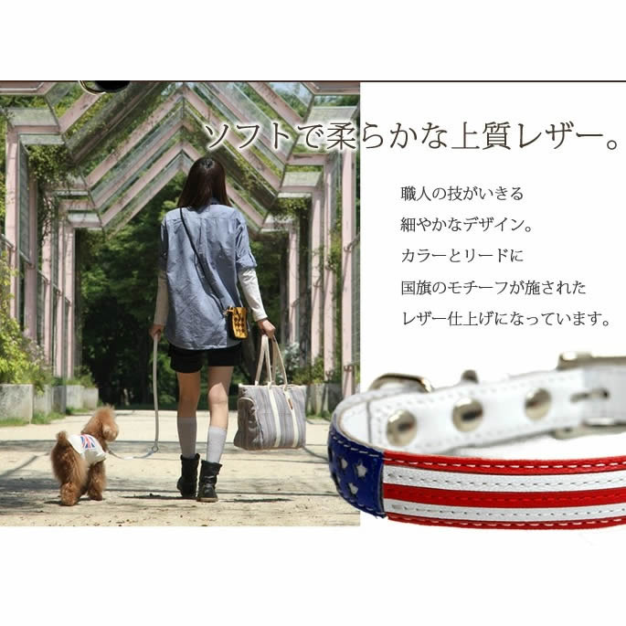 ���� ���� ASHU ���� ���顼�ʼ��ء� M������ �ڥ꡼�ɤ������� �ھ�������������