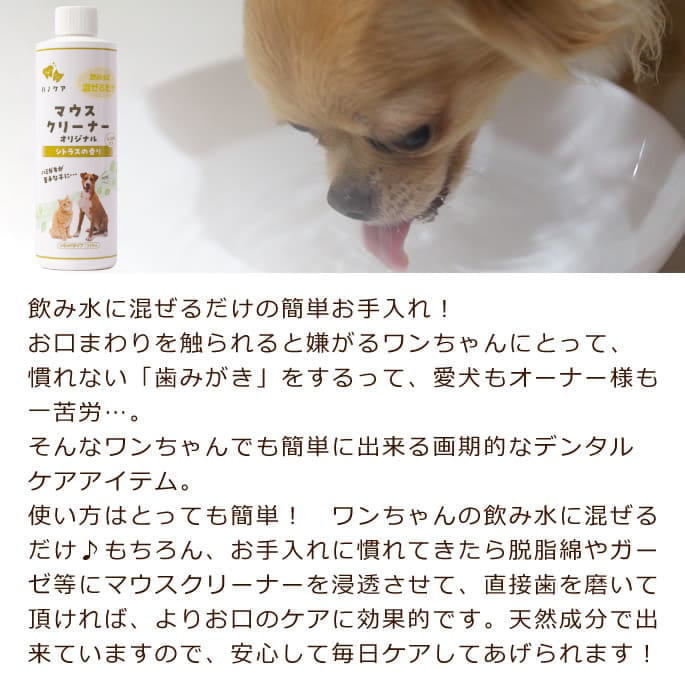 【割引クーポン配布中】愛犬の歯のケアにおススメ...の紹介画像2