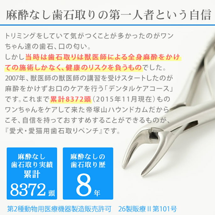 帝塚山ハウンドカム 歯石取りペンチ 犬用 猫用...の紹介画像3