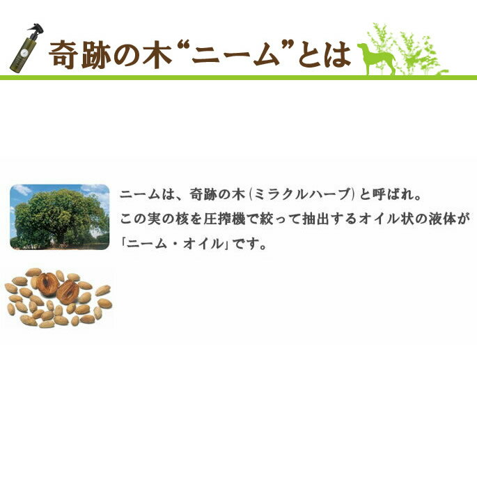 ��ˡ��� 200ml �ڥå����� �ڥåȥ��å� ������ �� ���� ���� ��ץ졼 ��� ������� ���� ��ŷ