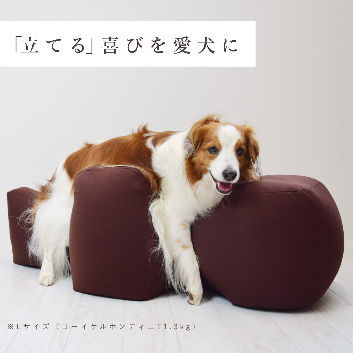 【ポイント2倍＆割引クーポン配布中】老犬 介護 クッション｜リラクッション Lサイズ ブラウン｜シニア犬 中型犬 大型犬 寝たきり予防 床ずれ防止 立位保定 立ち姿サポート リハビリ マッサージ 介護用クッション 介助 褥瘡（床ずれ） ashudog-10013762 愛犬手作りご飯 ハウンドカム食堂 サンプル画像2