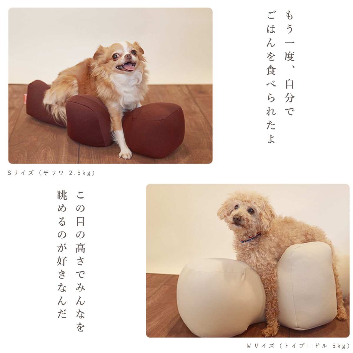 �ڰ����ѥ٥åɡ� ��饯�å���� 3L ���㥳���륰�졼 Ω�����ꡦ��� �ڢ����Ϥ��ޤ�7��14���ۤɤ������礬�������ޤ����緿�� Ϸ�� ���Ѳ��å���� Ω���Ѥλ����򥵥ݡ��� �����ɻ� ��������ͽ�� �������ɻ�