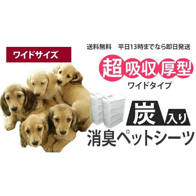 サンプル画像2
