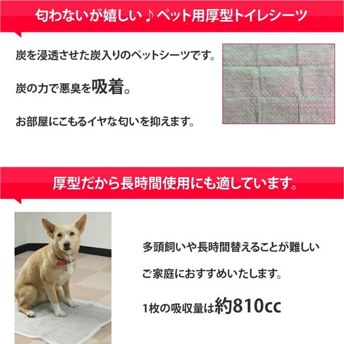 サンプル画像3