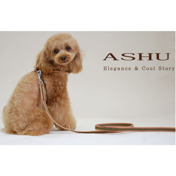 【割引クーポン配布中】ASHU「ワンラインWロ...の紹介画像3
