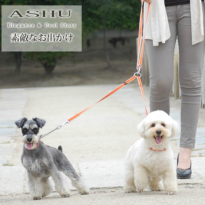 *ASHU*「Dカン付きワンラインWリードセット」【犬用リード お散歩】犬 リード 2頭...