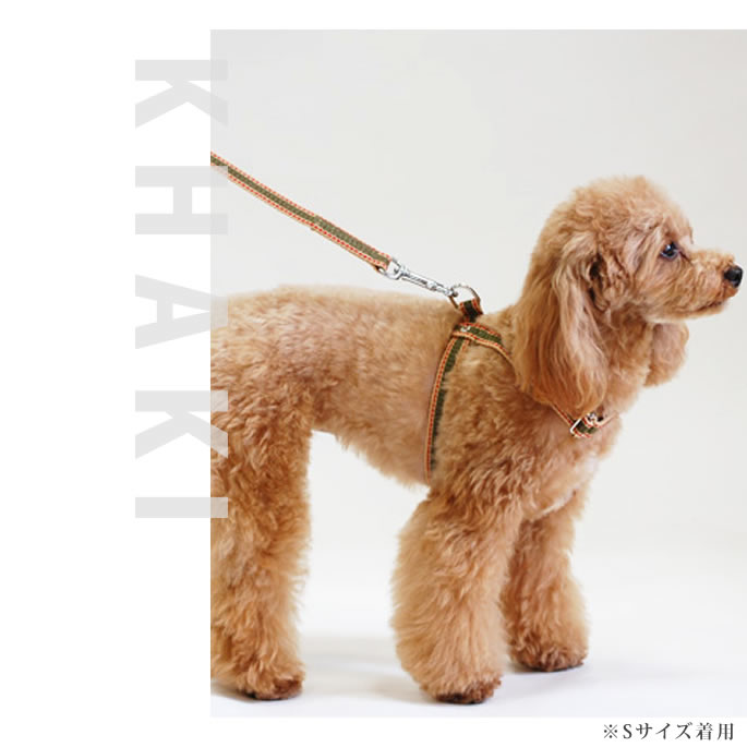 *ASHU*「Dカン付きワンラインWリードセット」【犬用リード お散歩】犬 リード 2頭...