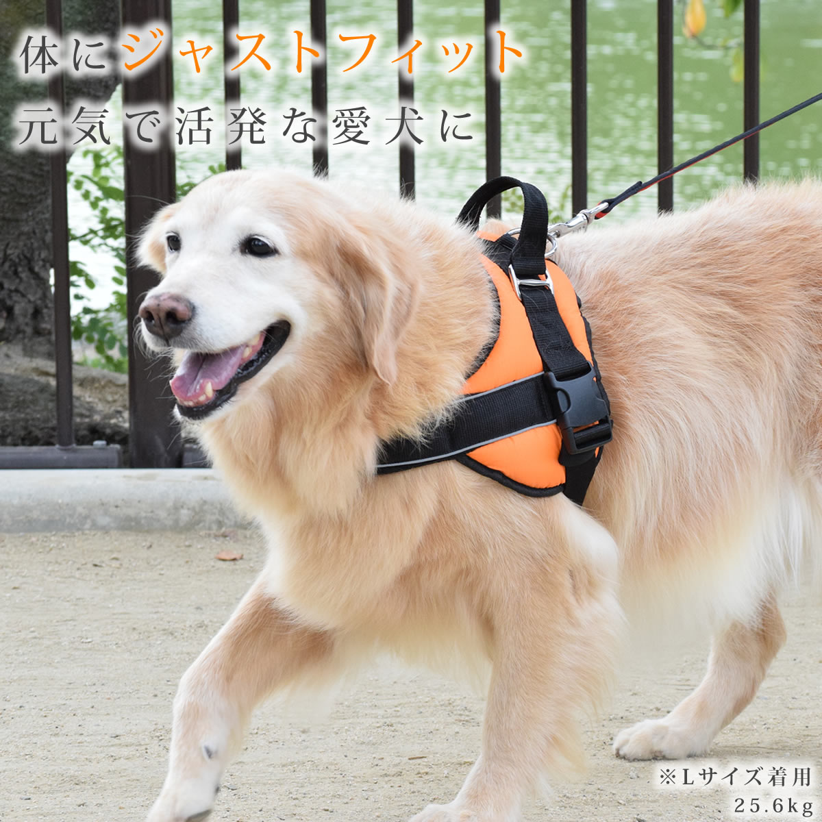 中・大型犬用ハーネス|首に優しいクッションハー...の紹介画像2