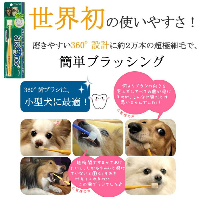 愛犬の歯磨きに! ビバテック ペット歯ブラシ ...の紹介画像2