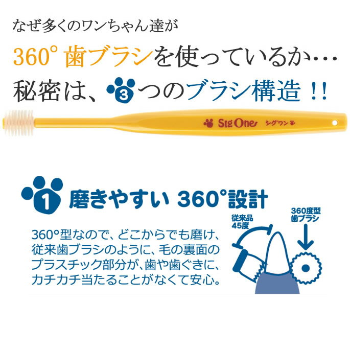 �����λ��᤭�ˡ� �ӥХƥå� �ڥåȻ��֥饷 ������� �������ѻ��֥饷 �ǥ󥿥륱�� �ȥ��ס��ɥ� ����� ���å��� �Ҹ��ڥå����� �ڥåȥ��å� �� ���� �Ϥߤ��� ���� �ǥ󥿥륱�� ���ѻ��֥饷 ���λ��᤭ ������륱��