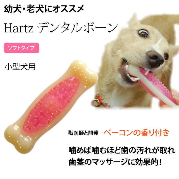 犬用おもちゃ Hartz デンタルボーン ソフ...の紹介画像2