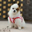 【割引クーポン配布中】犬 ハーネス 小型犬 ASHU クーリングウェアハーネス S【リードは別売り】クール..