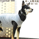 犬用 術後カバー服 中・大型犬用（サイズ55・60・65）レトリバー シェパード 着せやすい 傷なめ防止 手術後 術後服 介護服 老犬 シニア 介護 エリザベスカラー代替 ストレス無い 動きやすい 傷舐める 避妊手術