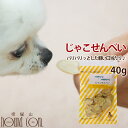 老犬 おやつ 無添加じゃこせんべい 国産 低カロリー魚の骨入りオヤツ 柔らかい 子犬でも安心 低カロリー 老犬 おやつ 幼犬 シニア犬 成犬 子犬 老犬 犬 猫...