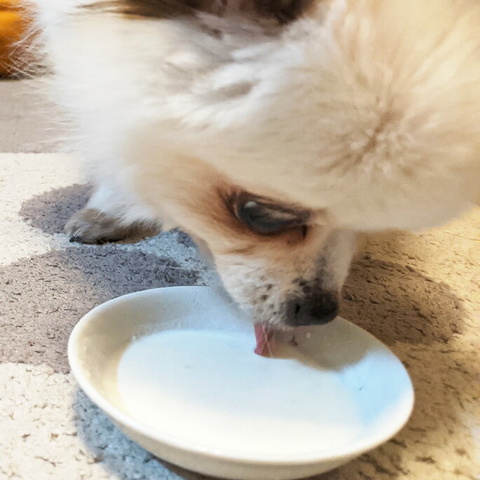 ナチュラルハーベスト 総合栄養食パウダーフード おいしくサプリごはん ミルクエイド150g タンパク質 サプリ 脂肪 カロリー カルシウム 栄養補給 トッピング ashudog-10013217 愛犬手作りご飯 ハウンドカム食堂 サンプル画像2