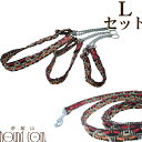 【割引クーポン配布中】大型犬用ハーフチョーク ASHU ネオハーフチョークとリードセットL 送料無料ラブラドール ソフトで軽量 しつけ お散歩、ギフト プレゼン...