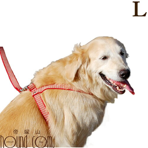 ڳݥۥϡͥ 緿 STEP[ƥå]ϡͥ L ڥ꡼ɤ ڥå ƹ ñ ʥ ơץ׸ ...
