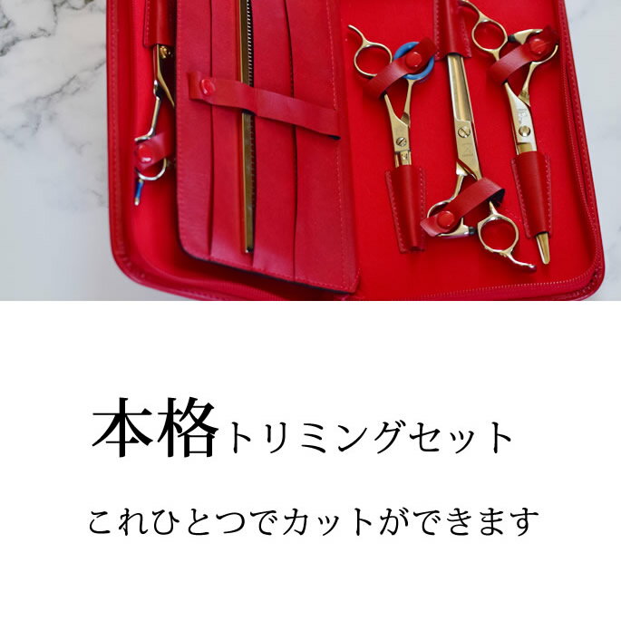お取り寄せ トリミングのお得なハサミセット 本格なトリミングセットになります はさみ 犬猫用品 トリミングハサミセット ハサミ5丁 ノミ取りコーム シザーケース コーム セーム革 ペット用お手入れ用品 ハウンドカム食堂 トリミング シザー ハサミ はさみ 食堂