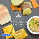 楽天愛犬手作りご飯 ハウンドカム食堂【4月10日以降発送】愛犬用手作りごはん こどもの日 手作りごはんとスイーツのセット 【冷凍便】 無添加 国産 ウェットフード お祝い プレゼント 犬用手作り食 トッピング 混ぜるだけ 食いつきがいい 愛犬が喜ぶ 老犬 成犬 子犬 ハウンドカム食堂