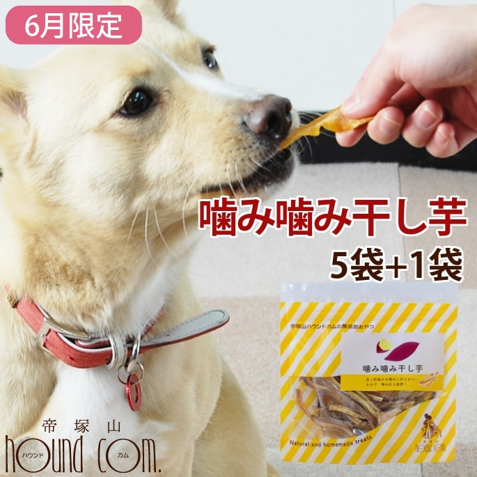 乐天商城 - 【割引クーポン配布中】【6月限定】噛み噛み干し芋 5袋+1袋プレゼント おやつ ペット用おやつ【ペットフード フード ご飯 ギフト 干し芋 ほしいも 干しいも 干しイモ 国産 無添加】