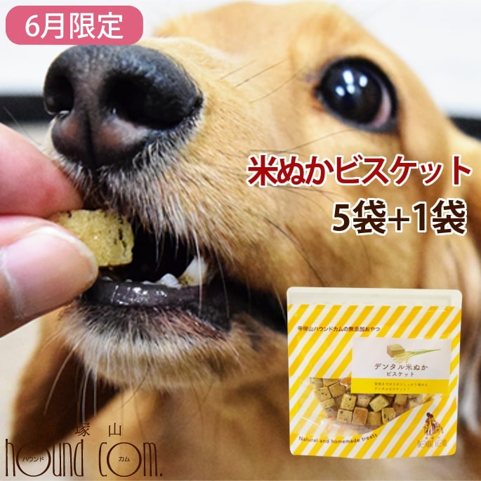 【6月限定】犬用おやつ｜デンタル米ぬかビスケット60g　5袋+1袋セット 米粉 犬用クッキー　犬用ビ