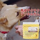 愛犬用ガム 馬皮サクサクデンタルガム 5袋セット 国産 安心安全 デンタルトリーツ 歯磨きガム 柔らかめガム 子犬 老犬 デンタルおやつ 噛むおやつ チキンアレ...
