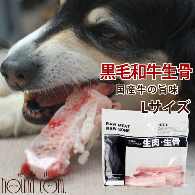 黒毛和牛の生骨！無添加デンタルボーン Lサイズ（大型犬用） 犬 手作り食生骨 手作りごはん 歯磨き おやつ ドッグフードデンタルケア フード ボーン 犬用おやつ デンタルクリーン【ドックフード】犬の歯磨き 犬のおやつ いぬのサムネイル
