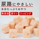 【割引クーポン配布中】犬 おやつ とっておきのひとくちテリーヌ 尿路ケア 100g 犬 泌尿器 尿路 ケア 水分補給 手作りごはん 老犬 シニア犬 療法食 食べ...