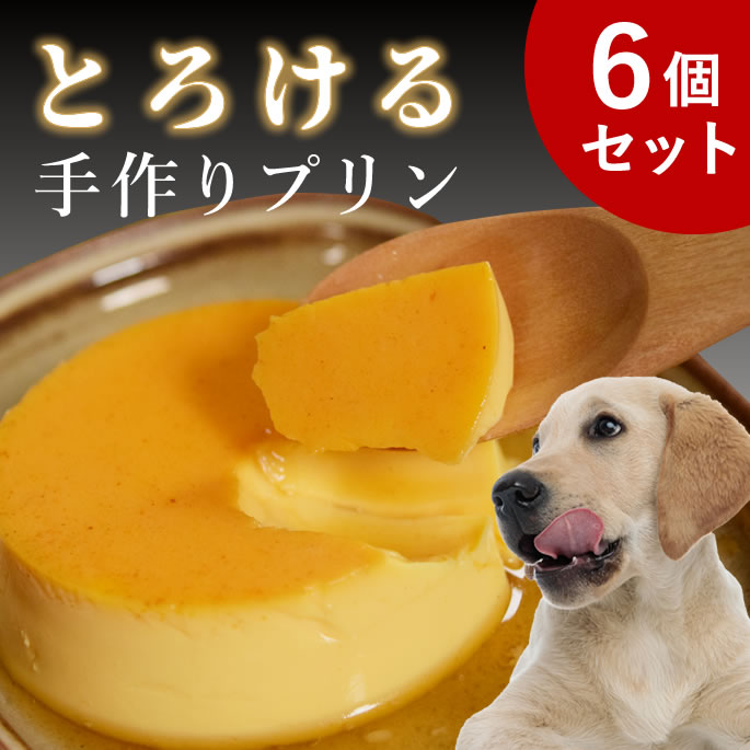【愛犬用】食堂の手作りプリン 6個セット【ハウンドカム食堂】 犬用スイーツ デザート おやつ お菓子 食いつき 良い おすすめ 食いつき抜群 の いい 餌 トッピングのサムネイル