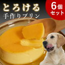 【割引クーポン配布中】犬 おやつ 低リン|食堂の手作りプリン 6個入 腎臓 腎臓おやつ 低たんぱく 低脂肪 膵臓 無添加 砂糖不使用 3ヶ月 子犬 老犬 シニア...