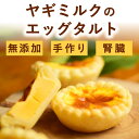 【割引クーポン配布中】犬 おやつ 食堂の 手作り スイーツ ヤギミルクのエッグタルト 無添加 国産 犬 おやつ スイーツ 低リン 低タンパク 低たんぱく 腎臓 ...