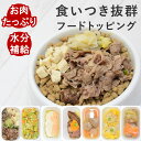 【11%OFFクーポン&P5倍】犬 手作り ご飯手作り食 食いつき抜群7食セット 【ハウンドカム食堂】 冷凍便 ドッグフード 国産 無添加 食べない ドライフー...