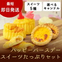 犬 誕生日 ケーキ ハッピー バースデー スイーツ たっぷりセット ※お名前入れ不可 即日 デザート 誕生日プレゼント スイーツ ディナー 多頭飼い 老犬 うちの子記念日 ご飯 無添加 お祝い グッズ 帝塚山ハウンドカム