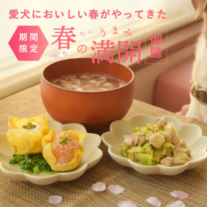 【春季限定】 犬 手作りご飯 春のうまみ満開御膳 【冷凍便】 ドッグフード 国産 手作り 無添加 犬用お..