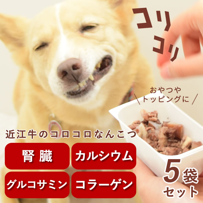 【P2倍＆割引クーポン配布中】犬 トッピング｜近江牛のコロコロなんこつ 5袋セット 無添加 おやつ  ...