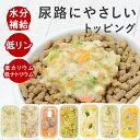 【割引クーポン配布中】犬 尿路ケア 手作り ごはん 7品目セット 泌尿器ケア 尿ケア 療法食 を 食べない愛犬に 低リン 腎臓 手作りごはん ドッグフード トッ...