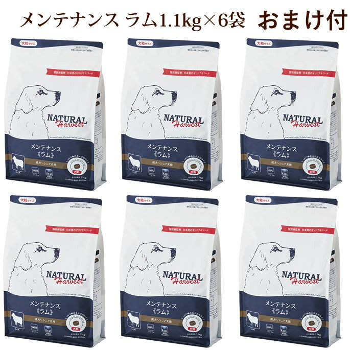 樂天商城 - 【割引クーポン配布中】【おまけ付き】ナチュラルハーベスト　メンテナンス　ラム　1.1kg×6袋セット　おまけ付き　NEWパッケージ　低脂肪