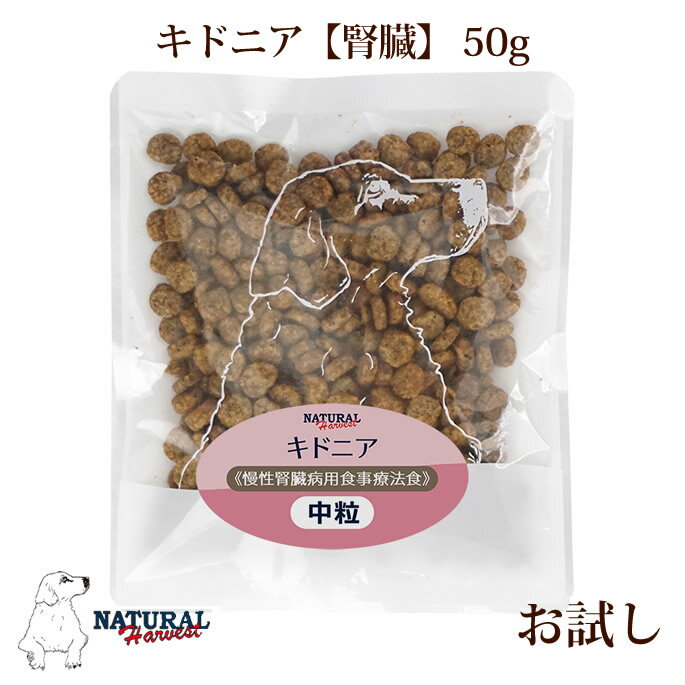 ʥϡ٥ ɥ˥50gѥå NEWѥå ɥåա ¡  Ϥ α  ŷͻϥɥ...