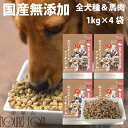 【送料無料&おまけ付き】ホリスティッククッキング ホース 4kg (1kg×4袋) 高齢犬 シニア 馬肉 食いつき抜群 小粒 老犬 ドッグフード 子犬 離乳食 国産 無添加 生肉主体で製造 ノンオイルコーティング