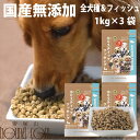 【割引クーポン配布中 】【おまけ付き】ホリスティッククッキング フィッシュ(天然旬の魚) 3kg (1kg×3袋) 高齢犬 シニア 国産 無添加ドッグフード 魚肉 フィッシュフード 子犬から老犬まで 小粒 やわらかい 食いつき抜群