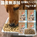 【割引クーポン配布中 】【おまけ付き】ホリスティッククッキング フィッシュ(天然旬の魚) 4kg (1kg×4袋) 高齢犬 シニア 食いつき抜群 国産無添加ドッグフード プレミアムドッグフード 老犬 シニア犬 小粒 魚肉 パピー 離乳食にも 防腐剤不使用