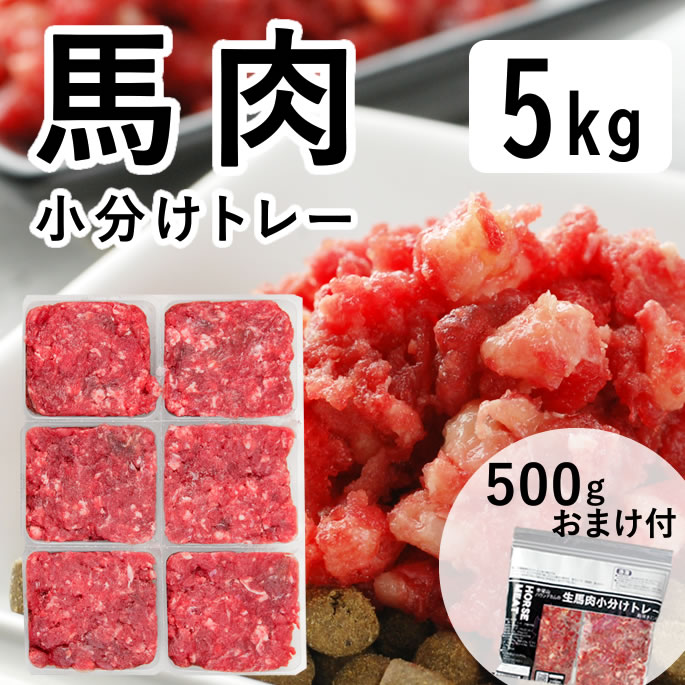 ڳݥ۸   5kg ʬȥ졼 ɥåա ɥ饤ա  ȥåԥ   ʬ ȥ졼 ɥåա...