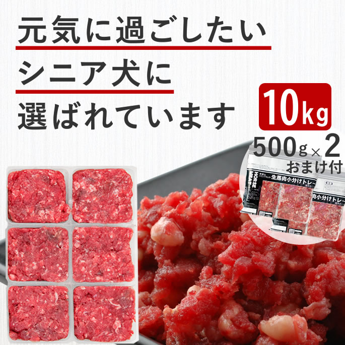 ڳݥϷ ʬȥ졼 10kg 󥶥Q10  BCAA   ߥ ˥  ...