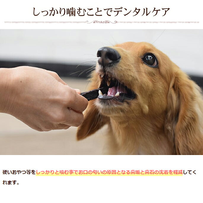 【P2＆クーポン配布中】犬 おやつ 無添加 デンタル 乳酸菌ハードジャーキーまぐろ 80g（ 5袋セット ） 硬め 魚 噛める ヘルシー 小型犬 中型犬 大型犬 プレバイオティクス フェカリス菌 鶏肉アレルギーの愛犬に