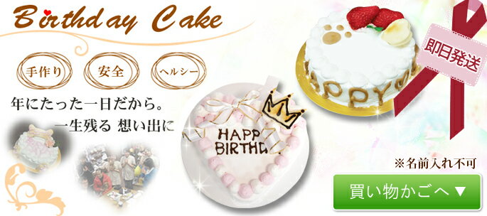 犬 誕生日ケーキ 即日発送 Happy Dayケーキ 4号 ささみ 犬用バースディケーキ デコレーションケーキ【a0175】即日発送の為、名前入れ不可となります　いちご