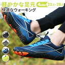 【全品送料無料】 トレーニングシューズ サーフシューズ ウォーターシューズ ダイビング 軽量 通気 排水機能 シュノーケリング スニーカー マリンシューズ メン...