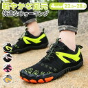 【全品送料無料】トレーニングシューズ サーフシューズ ウォーターシューズ ダイビング 軽量 通気 排水機能 シュノーケリング スニーカー マリンシューズ メンズ...