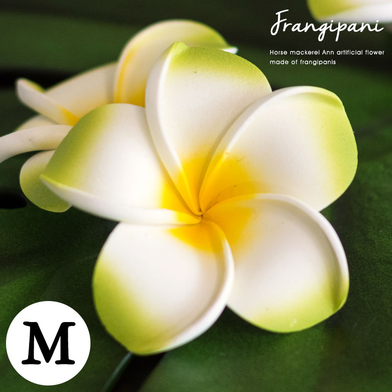 【最大2000円クーポン】 プルメリア アジアン 造花 スタンダードタイプ Mサイズ/グリーン フランジパニ リゾート オブジェ 飾り バリ雑貨 アジアン雑貨 ...